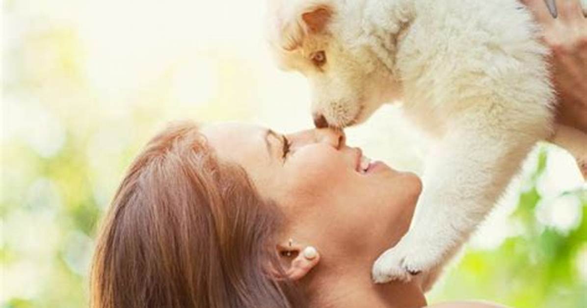 What Is the Most Loving Pet?