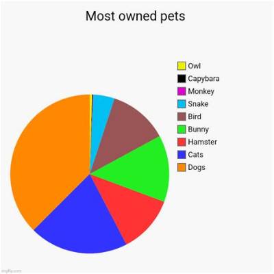 What Is the Most Owned Pet in 2021?