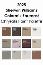 What Is the Most Popular Paint Color?