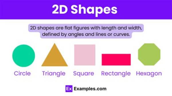 What Is the Other Term for 2D Shape?