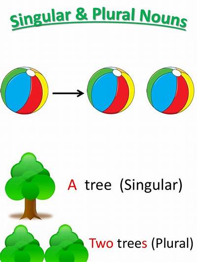 What Is the Plural of Tree?