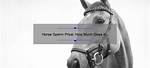What Is the Price of Horse Sperm?