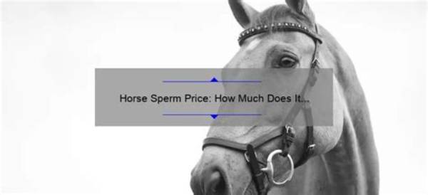 What Is the Price of Horse Sperm?