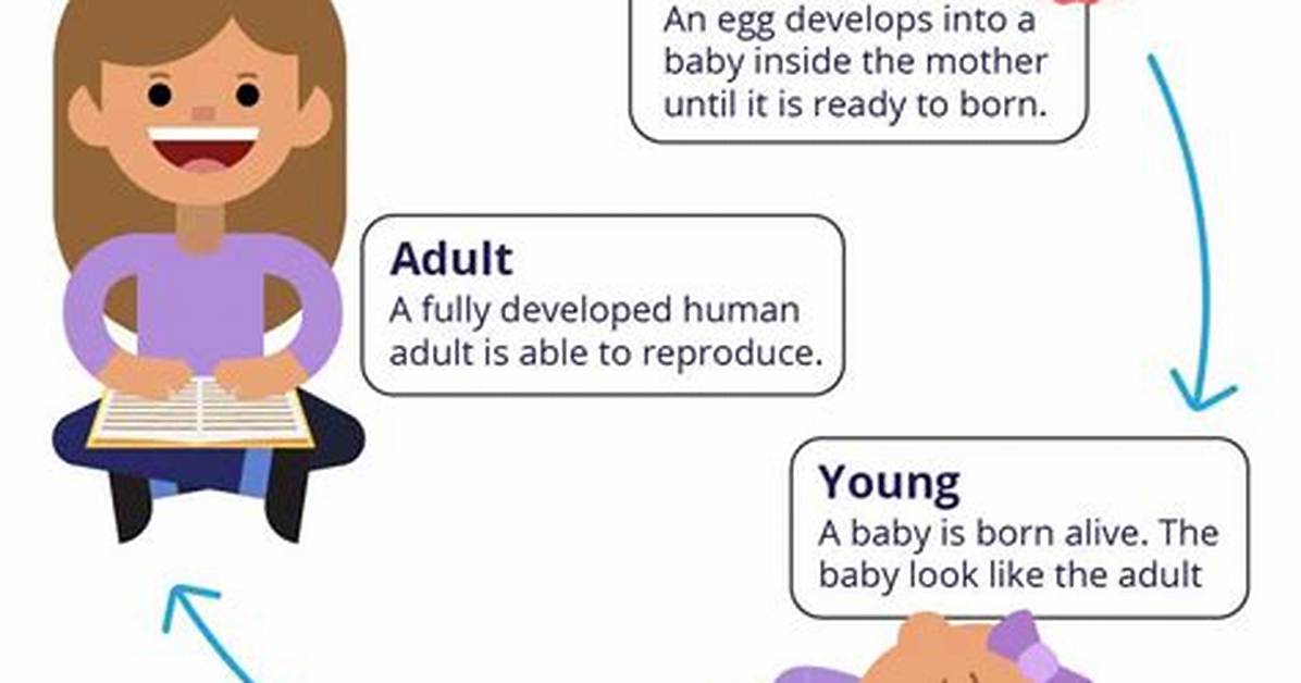 What Is the Prime Stage of Life?