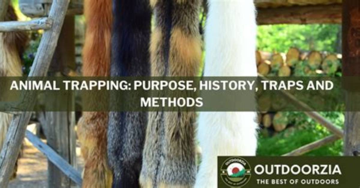 What Is the Purpose of Trapping?