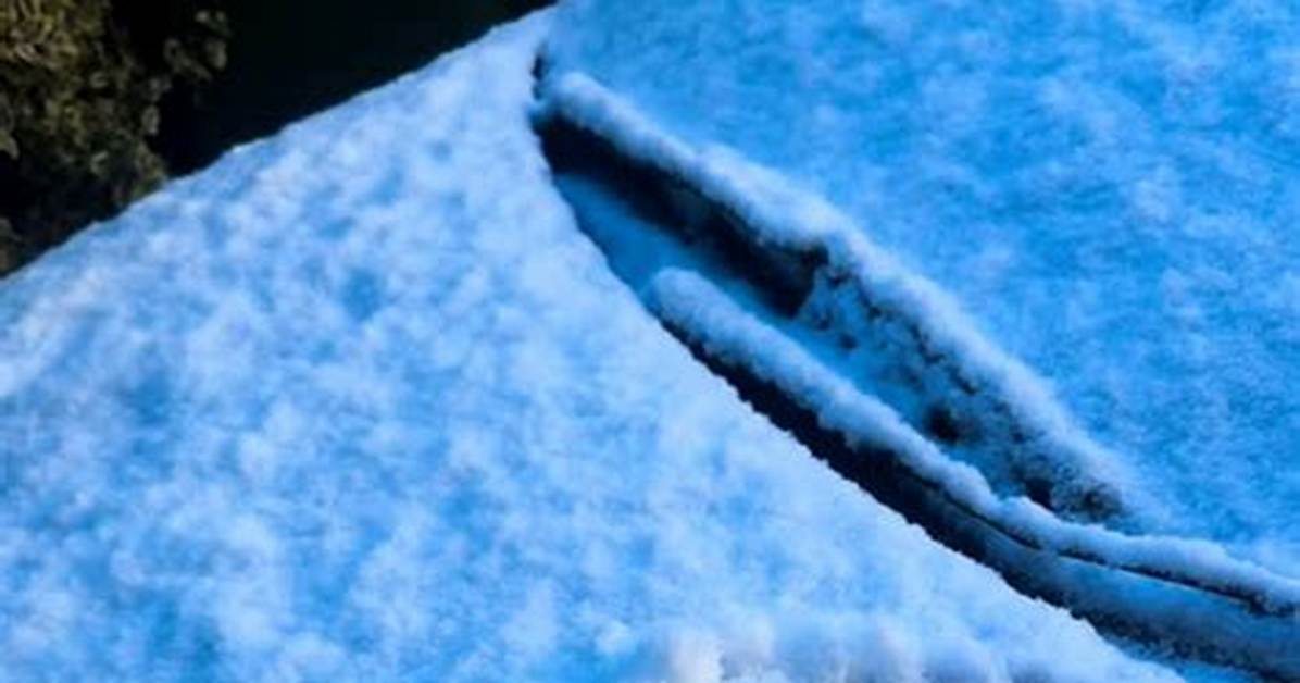 What Is the Real Color of Snow?