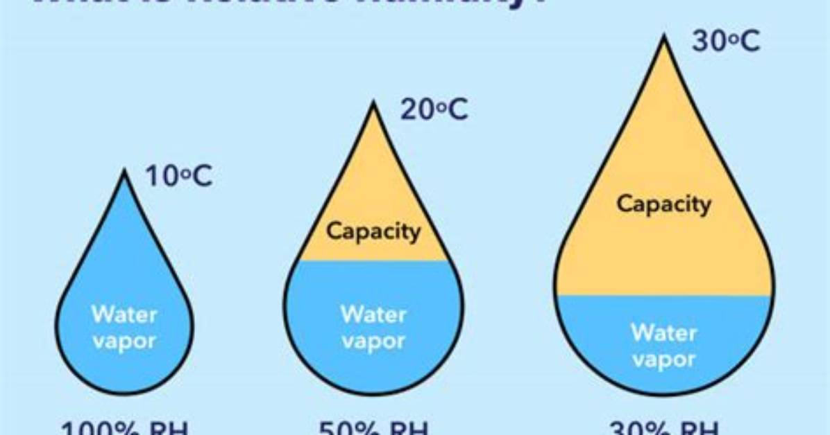 What Is the Relative Humidity