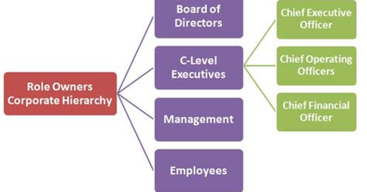 What Is the Role of an Owners Corporation Committee?