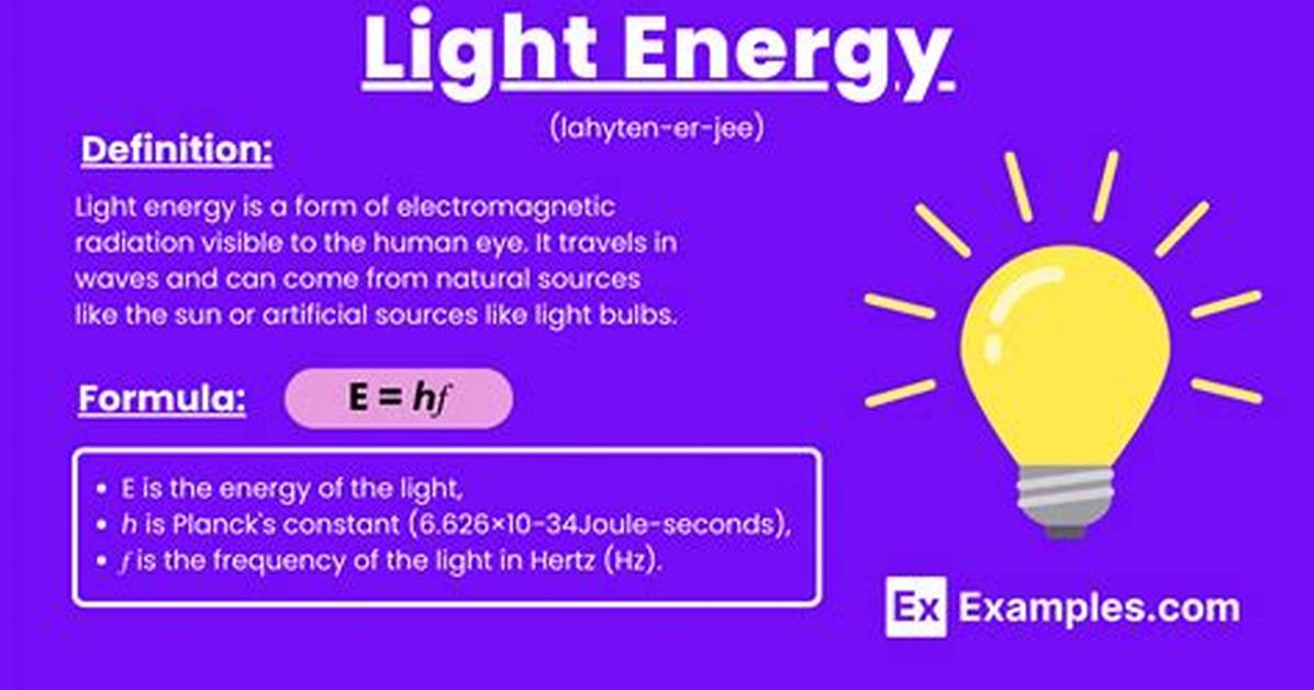 What Is the Role of Light Energy in Photosynthesis?
