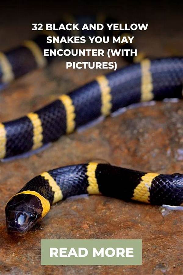 What Is the Rule of Snake and Ladder?