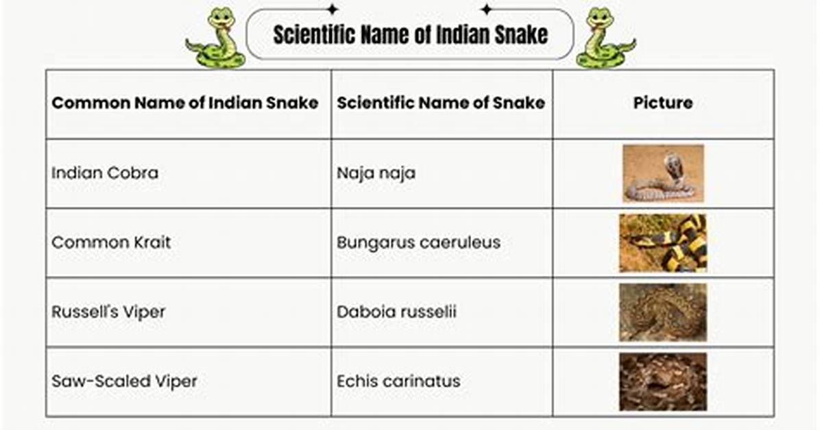 What Is the Scientific Name of Snake