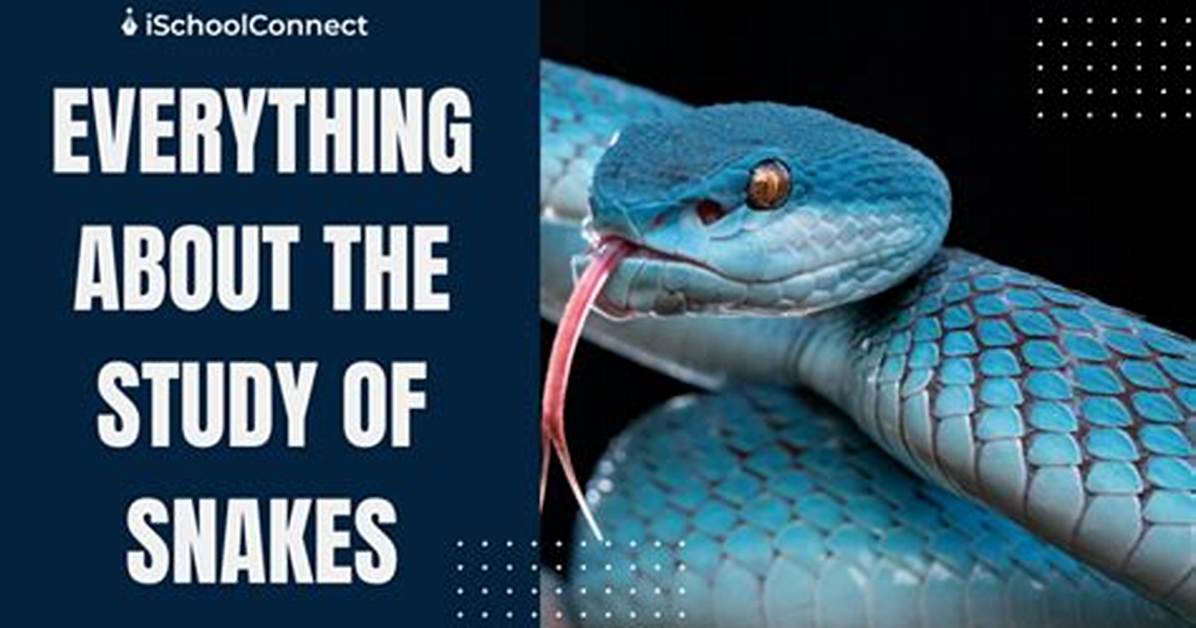 What Is the Study of Snakes Called