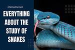 What Is the Study of Snakes Called