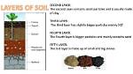 What Is the Third Layer of Soil?