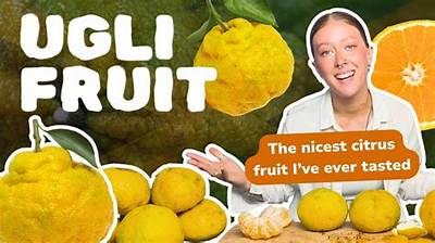 What Is the Ugliest Fruit?