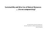 What Is the Wise Use of Natural Resources