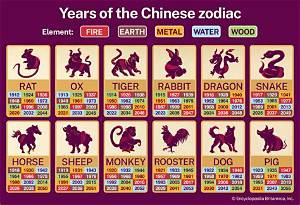 What Is the Year 1991 Animal Sign? Discover the Secrets of the Zodiac