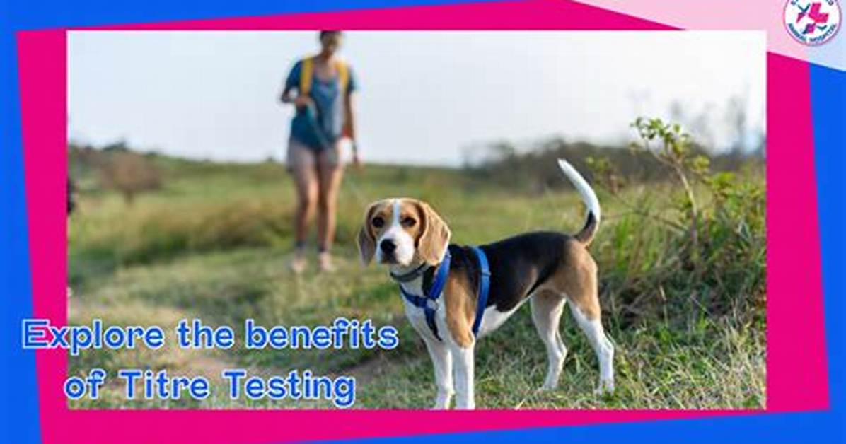 What Is Titre Testing?