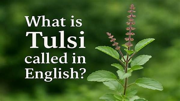 What Is Tulsi Called in English?