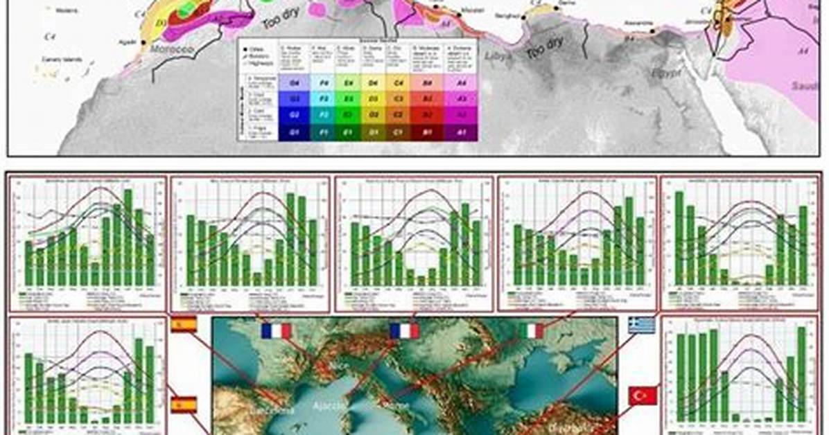 What Is Unique About the Mediterranean Climate Area Biome?