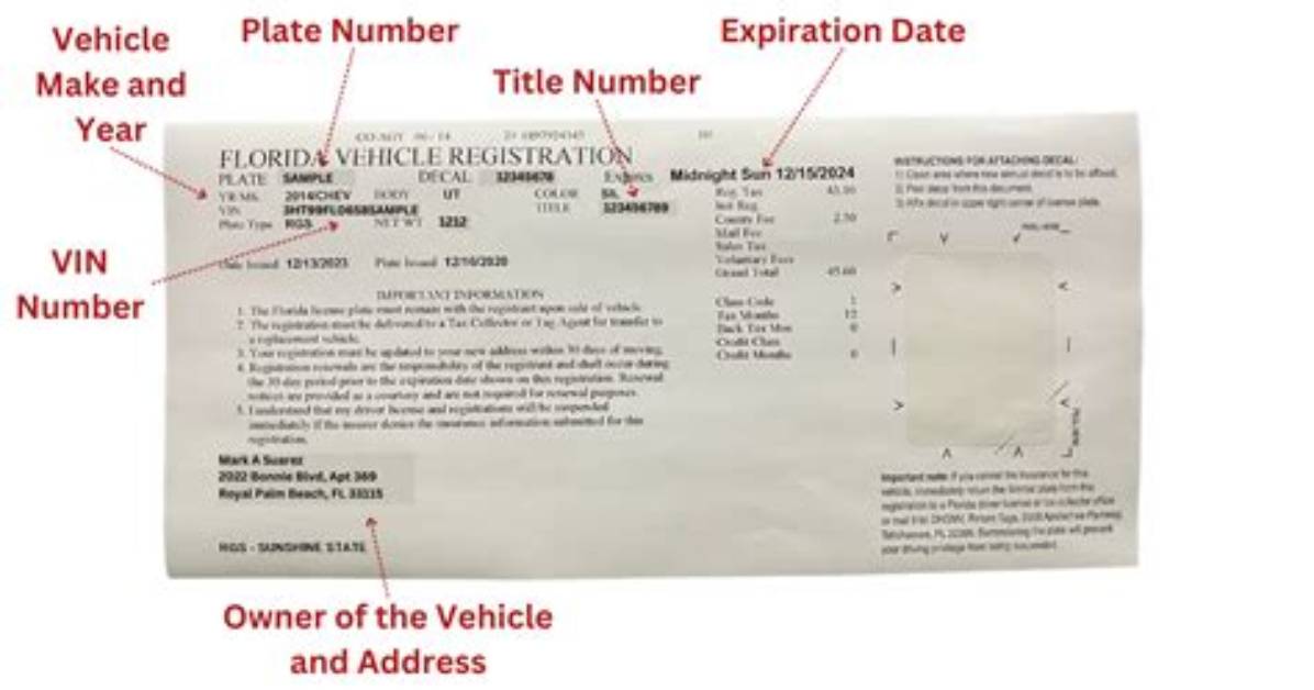 What Is Vehicle Registration Number?