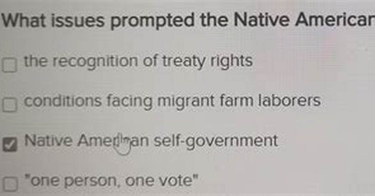 What Issues Prompted the Native American Civil Rights Movement