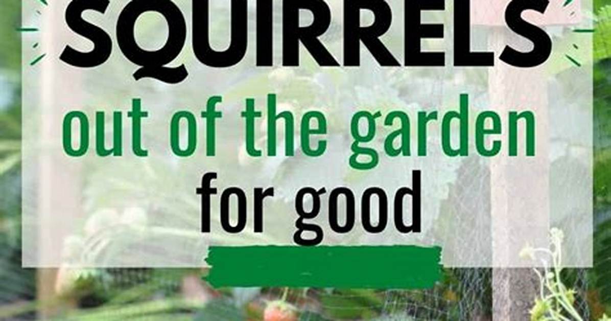What Keeps Squirrels out of Garden?