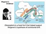 What Kind of Fossil Evidence Supported Wegener's Hypothesis
