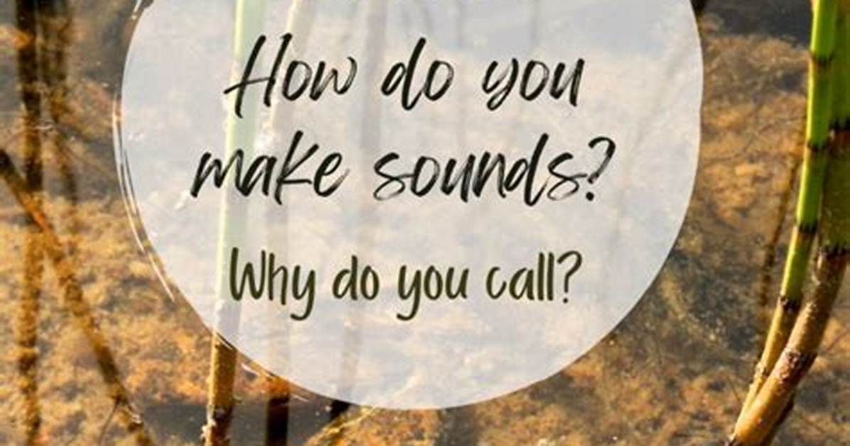 What Kind of Frogs Make Noise at Night?