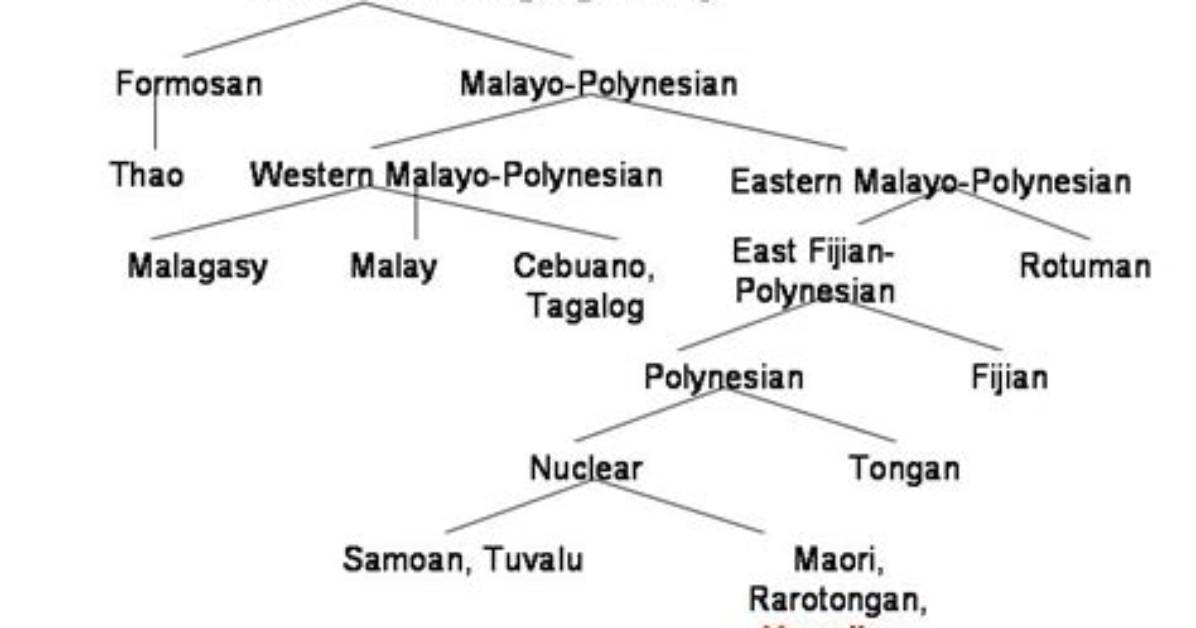 What Language Family Is Hawaiian?