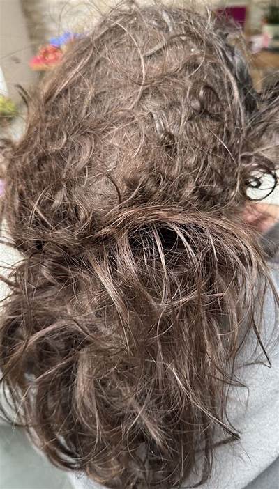 What Loosens Matted Hair?