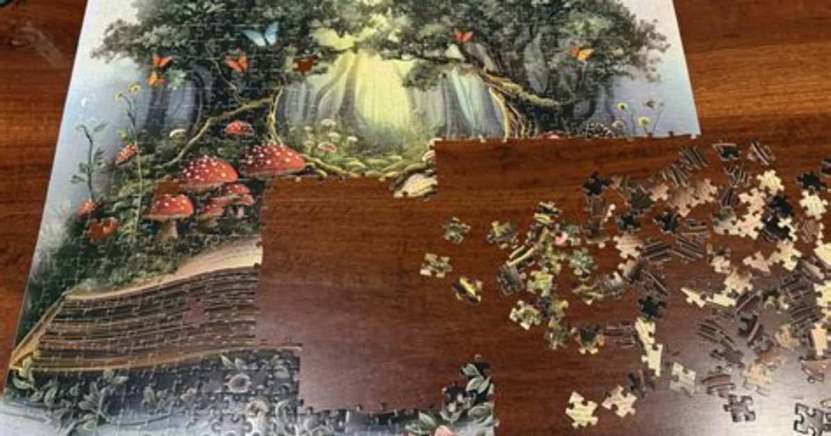 What Makes a Puzzle Fun?
