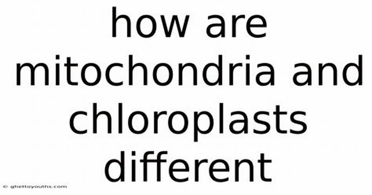 What Makes Mitochondria and Chloroplasts Different from Other Organelles