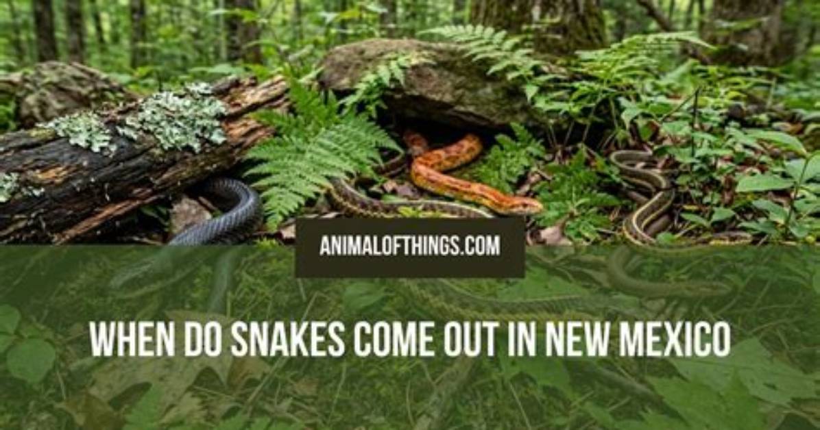 What Month Do Snakes Come out?