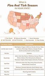 What Months Are Flea and Tick Season?