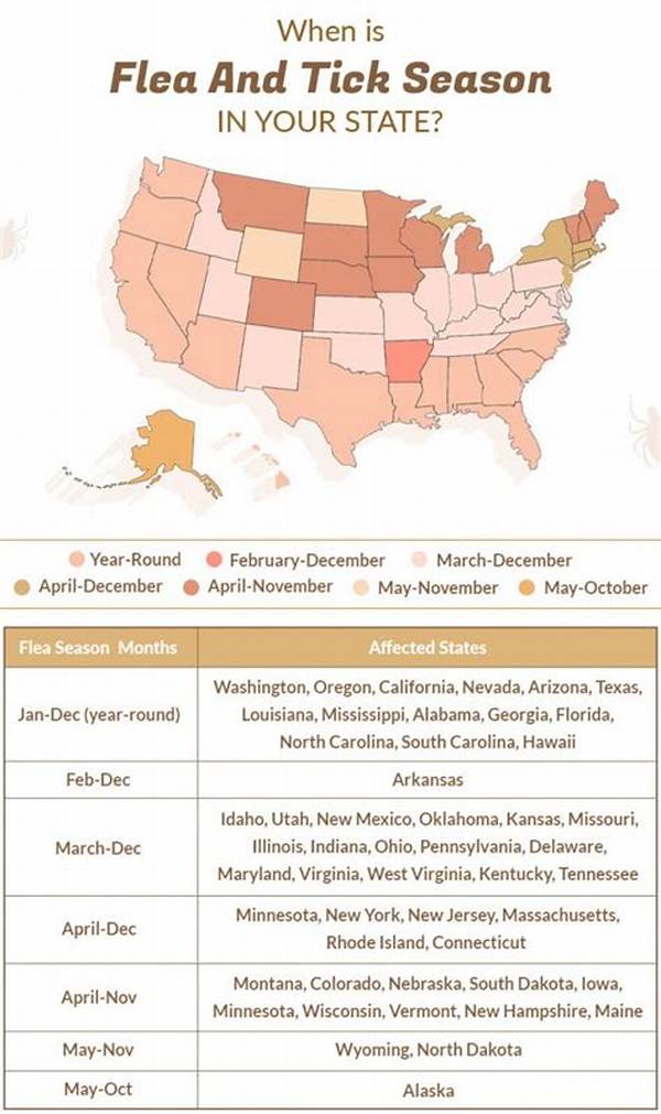 What Months Are Flea and Tick Season?