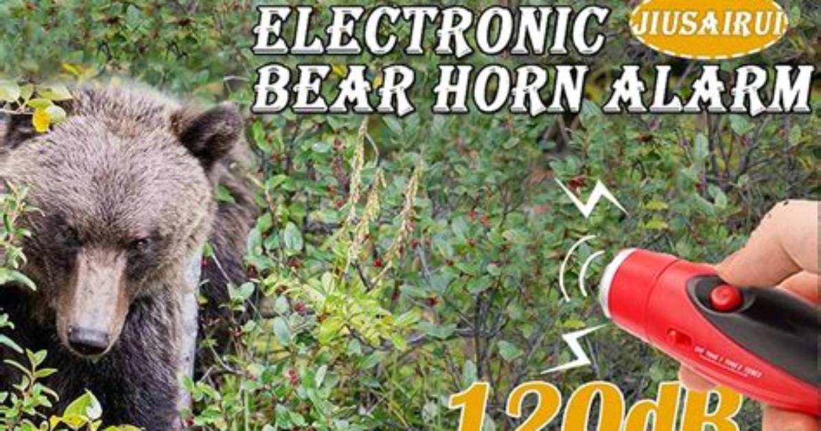 What Noise Scares Bears?