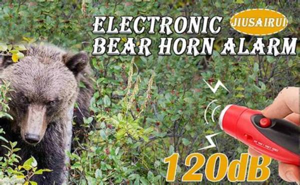 What Noise Scares Bears?