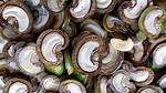 What Nut Shell Is Poisonous?