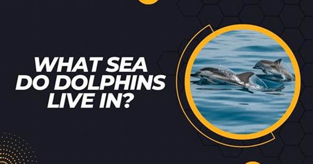 What Oceans Do Dolphins Live In