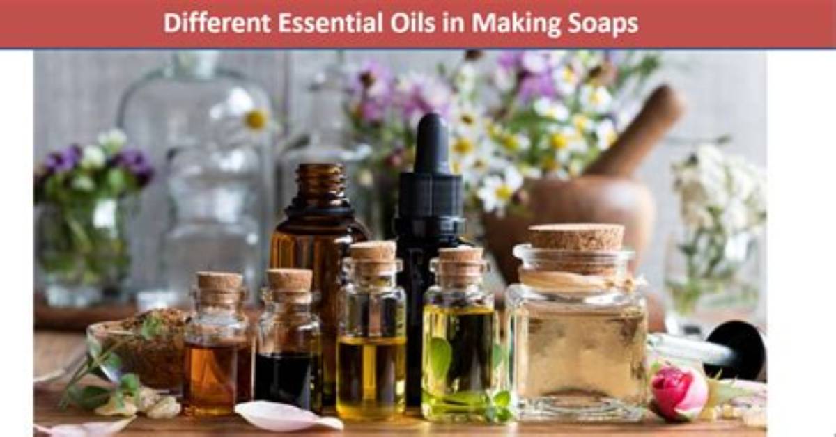 What Oils Are Used in Dove Soap?