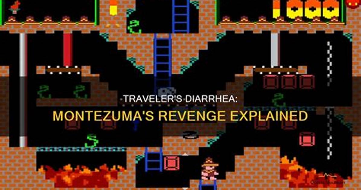 What Organism Causes Montezuma's Revenge?