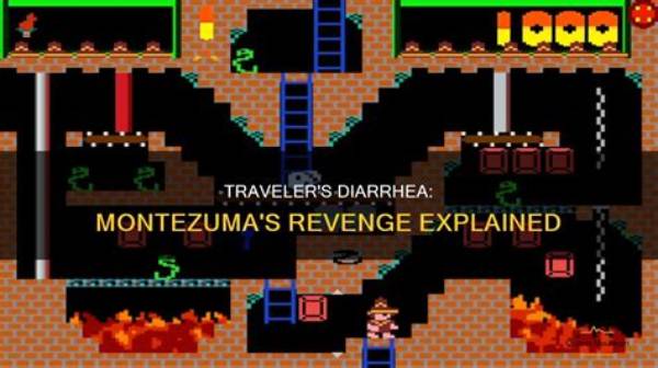 What Organism Causes Montezuma's Revenge?
