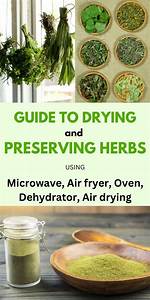 What Oven Temp to Dry Herbs?
