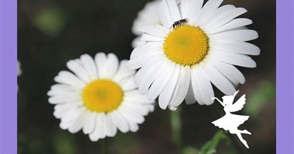 What Page Does Daisy Say I Hope She'll Be a Fool?