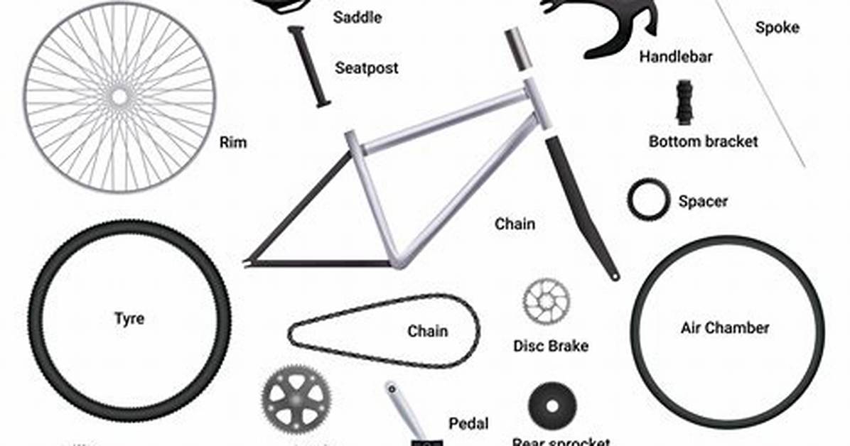 What Part of a Bike Is the Crank?