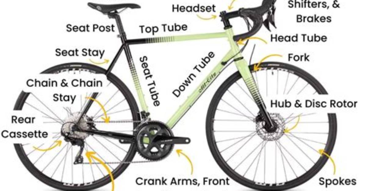 What Part of the Body Does Bike Riding Tone?