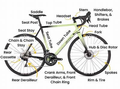 What Part of the Body Does Bike Riding Tone?