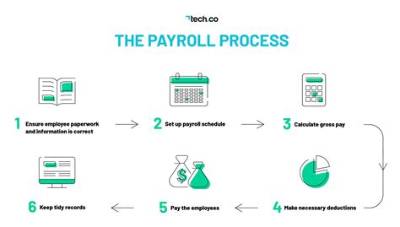 What Percentage Should Payroll Be for a Small Business?