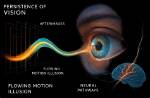 What Persistence of Vision in Human Eye?